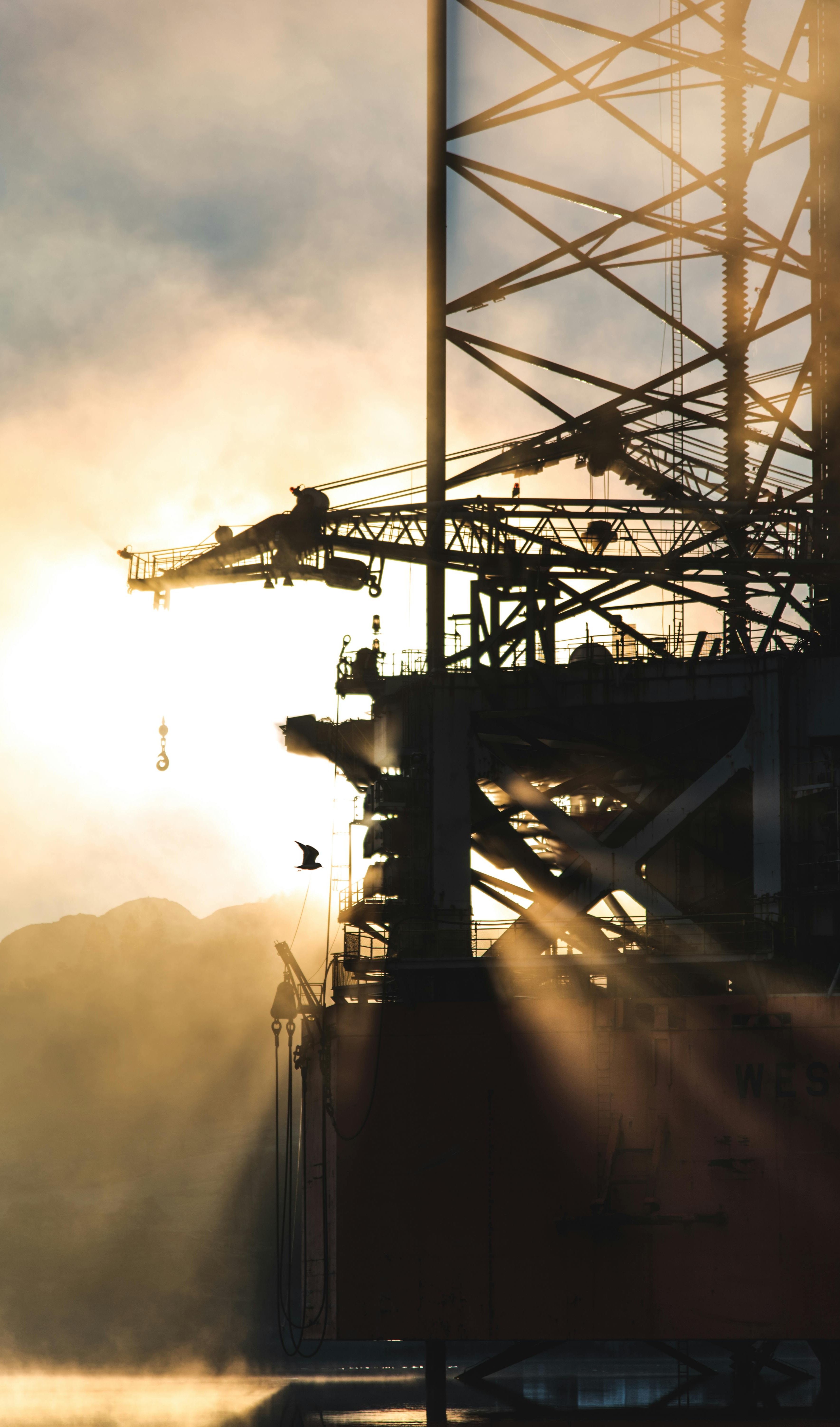 مشروع زراعي