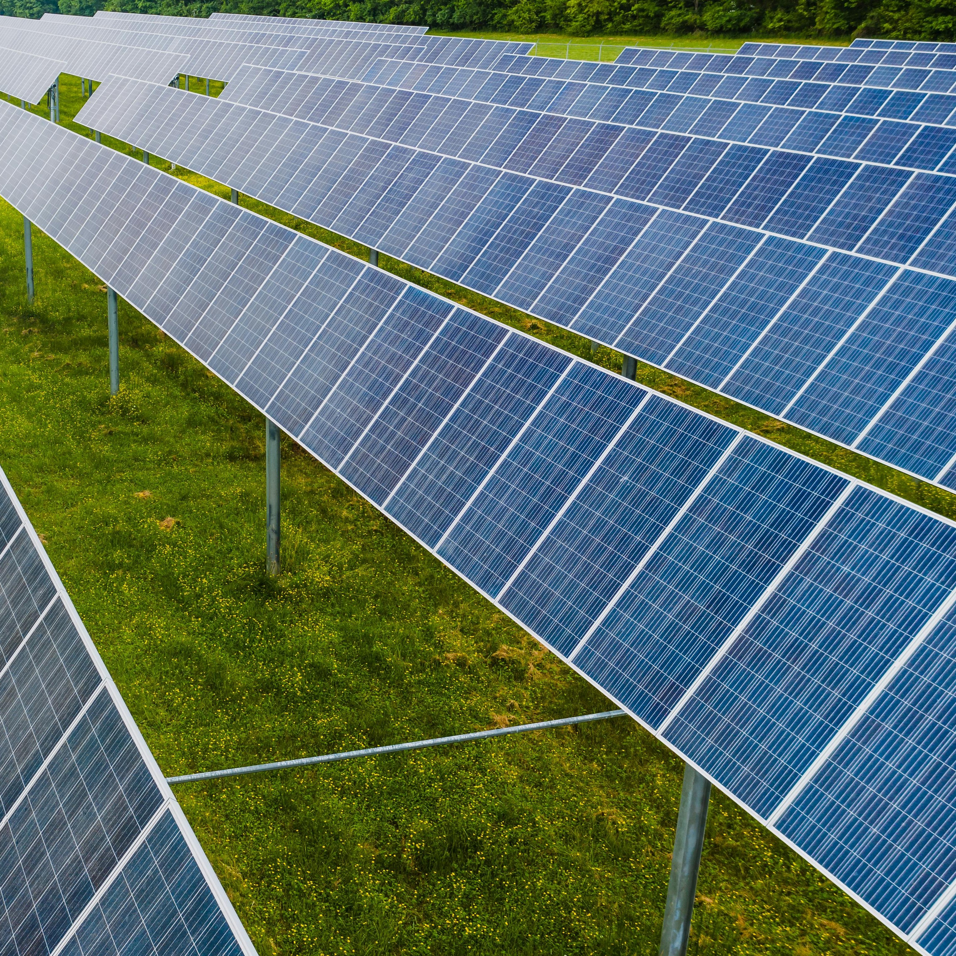 مشروع زراعي